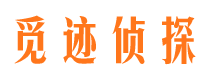 樊城侦探公司